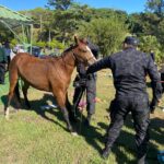 Hombre detenido en Ahuachapán por golpear a su hija de 7 años