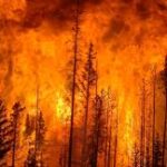 Guatemala decreta estado de calamidad por incendios forestales 