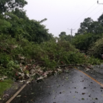 2 fallecidos y 2 heridos en accidente de tránsito en San Salvador