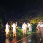 Depresión tropical Sara deja un muerto y más de 100.000 afectados en Centroamérica