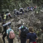 12 muertos tras derrumbe de techo en estación de trenes en Serbia