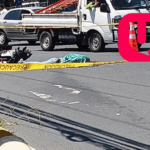 2 personas son capturadas por tráfico de marihuana en Ahuachapán