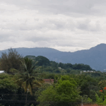 Inauguran puentes San Antonio y Carolina, en el oriente del país