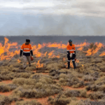 Nueva nube de polvo del Sahara cubrirá El Salvador