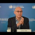 Logran primer trasplante en cerdos de riñones modificados con organoides humanos