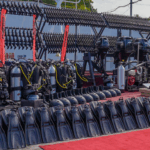 Asamblea fija fechas límite para pago de pensión de Navidad y pensiones alimenticias