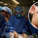 FOVIAL proyecta nuevas obras de infraestructura vial para 2026