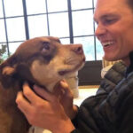 Condenan a 30 años de prisión a pandillero por homicidio cometido en 2018