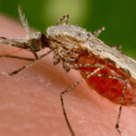 IVAE registra crecimiento de 7.8 % en septiembre impulsado por la Construcción