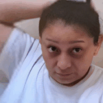 Grupo escolar es atacado por un oso y deja 11 lesionados en Canadá