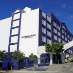 Tom Brady revela que clonó a su perra tras su fallecimiento