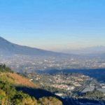 Ejecutan operativo para desarticular red dedicada a la distribución de droga en San Salvador