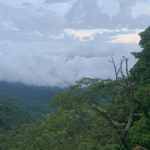 Güin y la Premiere League esperan tus apuestas