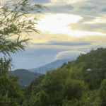 Lluvias dejan decenas de muertos y obligan a evacuar a miles en el sudeste asiático
