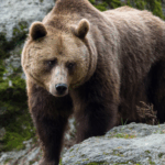 Lanzan proyecto para atender y capacitar a mujeres salvadoreñas retornadas