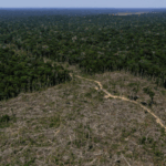 Misión humanitaria salvadoreña llega a Jamaica tras huracán Melissa