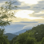 Cinco mil empleados públicos concluyen certificación en administración pública