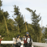 Deforestación en la Amazonía brasileña baja un 11% en el último año