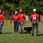 Asamblea autoriza $172.1 millones para elecciones de 2027 y voto en el exterior
