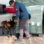 Buque con 21,000 toneladas de cemento atraca en el puerto de La Unión