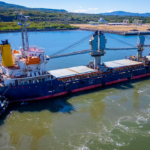 Autoridades decomisan casi 20 toneladas de cigarros ilegales en el aeropuerto de CDMX