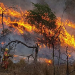 Petro plantea a EE. UU. alianza energética con América Latina