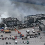 Decomisan 36 animales silvestres por tráfico ilegal de fauna