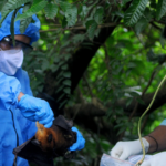 Programa Dos Escuelas por Día suma 500 centros educativos públicos intervenidos