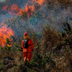 Sin Bandera lanza el álbum “Escenas” y anuncia concierto en El Salvador
