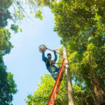 El Salvador tendrá un amistoso contra Pachuca Select en México el 3 de marzo