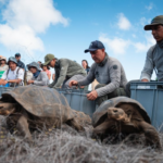 Vientos Nortes fuertes y descenso de temperaturas para este día