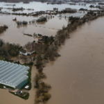 Capturan en Mejicanos a pandillero del Barrio 18 Sureños con antecedentes penales