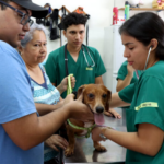 Asamblea aprueba préstamo de $75 millones para segunda fase de Doctor SV