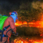 Gobierno de EE.UU. entra en cierre parcial por falta de aval presupuestario