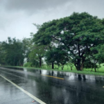 Will Salgado contrae matrimonio con Elizabeth Ventura “La Chelita”