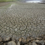 Detienen en Venezuela a sospechosa de feminicidio ocurrido en Ciudad de México