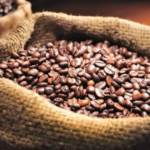 Warner Bros. revela elenco de “The Hunt for Gollum”, nueva película de “El Señor de los Anillos”