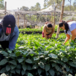 Comisión avala reformas a la Ley de Electricidad para regular la generación distribuida en el país