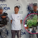 José Luis Saca asume presidencia de ANEP para el período 2026-2028