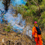 Capturan a presunta red por hurto de $115,000 mediante duplicación de chips telefónicos