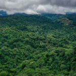 Anne Hathaway encabeza lista “Los más bellos del mundo” 2026 de la revista People