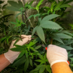 Real Madrid jugará ante Hapoel Tel Aviv con aforo restringido en Euroliga