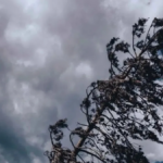 Restringirán tránsito en tramo de Los Chorros por trabajos viales