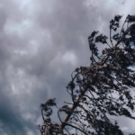 Papa llama a “elegir la paz” en su primer mensaje de Pascua