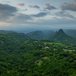Capturan a varias personas tras allanamientos en establecimientos de San Salvador