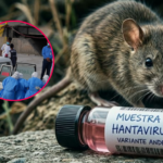Detectan cepa Andes de hantavirus en pasajero de crucero evacuado a Sudáfrica