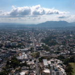 Científicos registran en Ecuador arácnidos que devoran ranas vivas