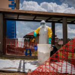 ONG alerta reducción de 87,000 hectáreas de cobertura arbórea en El Salvador