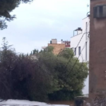 Detienen a dos hombres y una mujer por posesión de droga en San Miguel