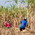 EE. UU. pide a sus aliados cortar vínculos con el Gobierno de Nicaragua